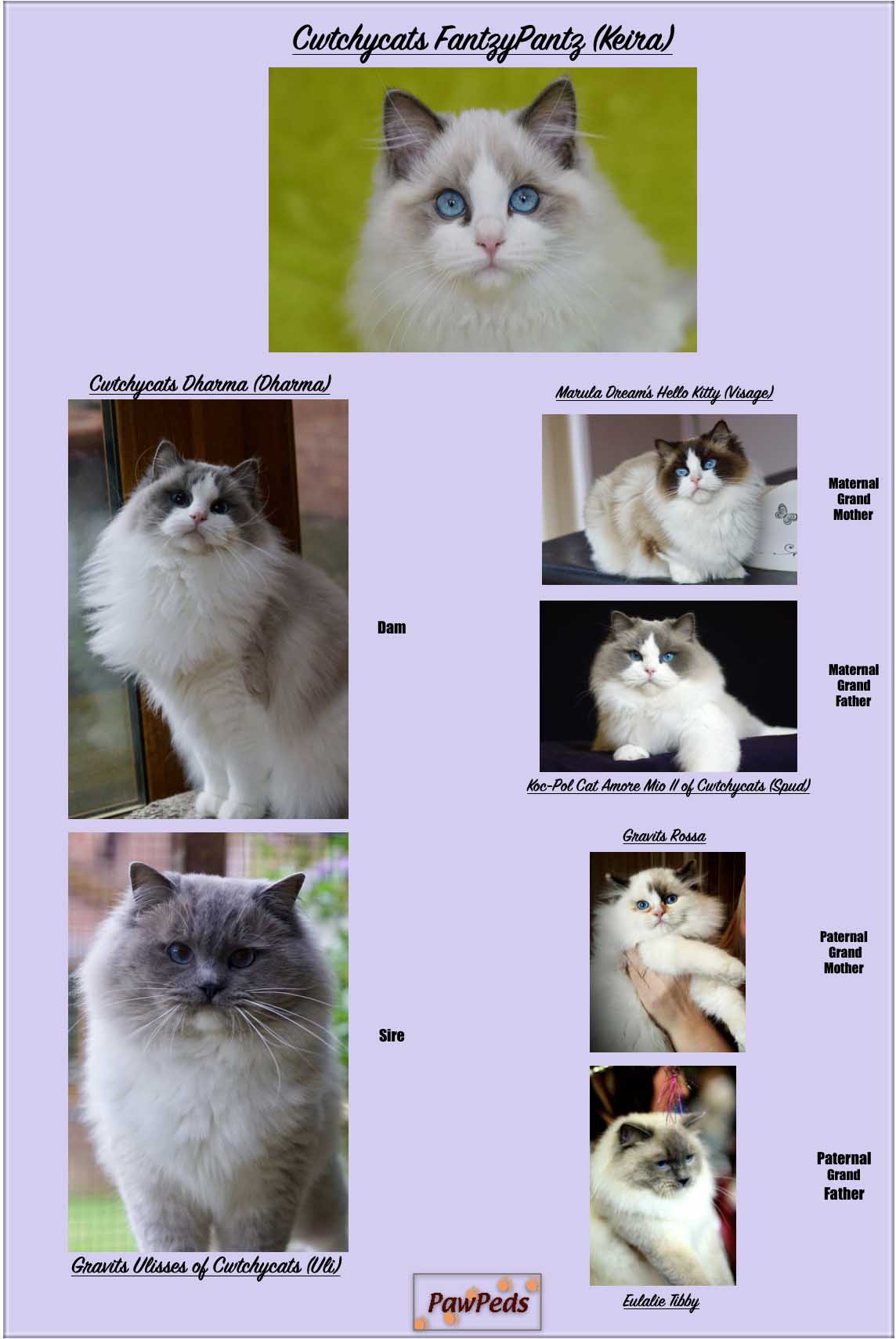 Keira Family Tree.jpg